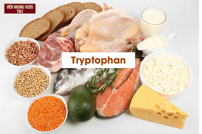 Các thực phẩm chứa Amino Acid Tryptophan hỗ trợ tăng cường sinh lực nam giới
